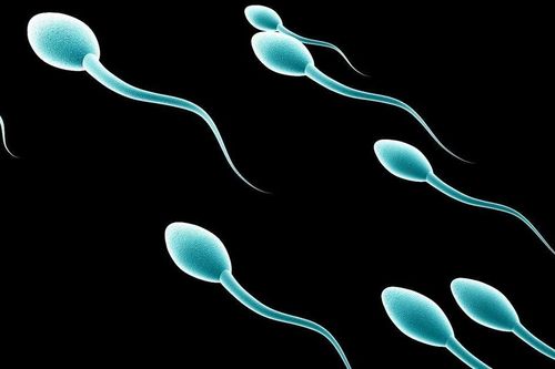 Bê bối người hiến tinh trùng mang gene gây ung thư làm cha của 52 trẻ em tại Bỉ