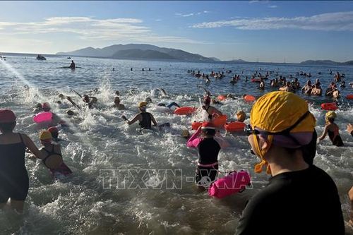 Sôi động Ngày hội Tắm biển 2025 tại Nha Trang