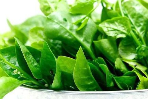 '4 không' khi ăn rau mồng tơi, biết mà tránh kẻo hối hận