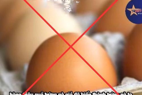Thông tin về 'trứng gà giả' tại Việt Nam là bịa đặt