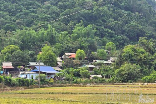 Thấp thỏm Pa Xa Xá