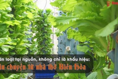 Phân loại tại nguồn, không chỉ là khẩu hiệu: Câu chuyện từ nhà thờ Biên Hòa