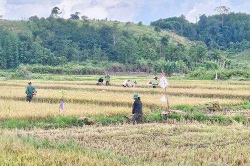 Ngày hội đổi công ở Đak Asêl