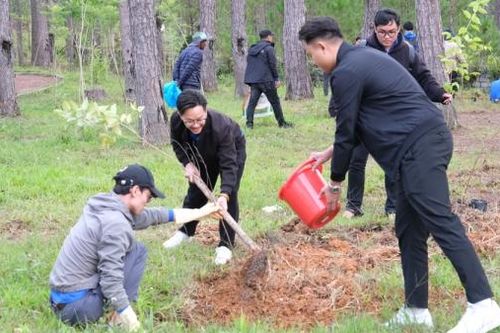 Đoàn viên, thanh niên ra quân trồng 200 cây mai anh đào tại Vườn quốc gia Bidoup - Núi Bà