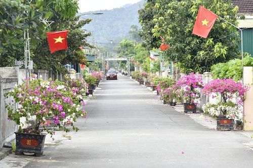 Hà Tĩnh: Diện mạo đô thị sạch đẹp, khang trang từ những ngõ phố văn minh