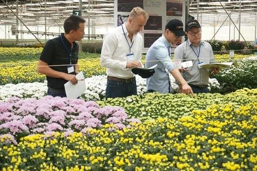 Lâm Đồng: Định hướng phát triển kinh tế xanh, tuần hoàn là trọng tâm