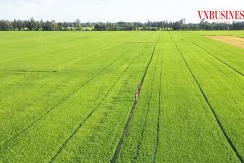 Đòn bẩy giảm nghèo ở Vị Thủy