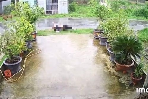 Trà Vinh: Đi xe máy vướng dây điện sau mưa lớn, 2 thanh niên tử vong