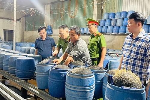 Khởi tố 3 bị can sản xuất giá đỗ bằng hóa chất độc hại