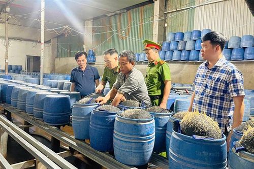 Khởi tố ba bị can sản xuất giá đỗ bằng hóa chất độc hại