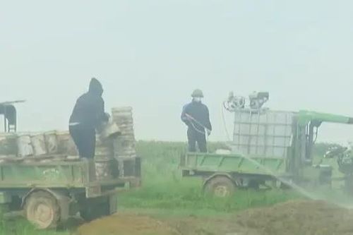 Giải pháp biến rác thải thành tiền