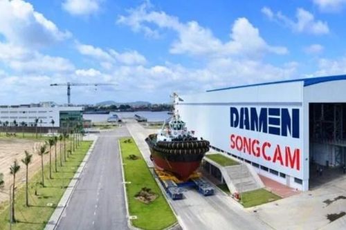 Cổ phiếu SCY lao dốc trước ngày hủy đăng ký giao dịch, dù lãi đều và nắm giữ hàng trăm tỷ tiền mặt