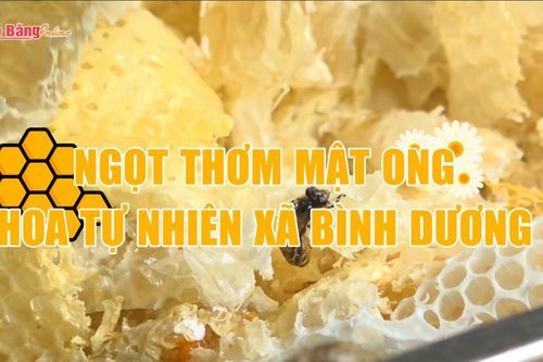 Ngọt thơm mật ong hoa tự nhiên xã Bình Dương