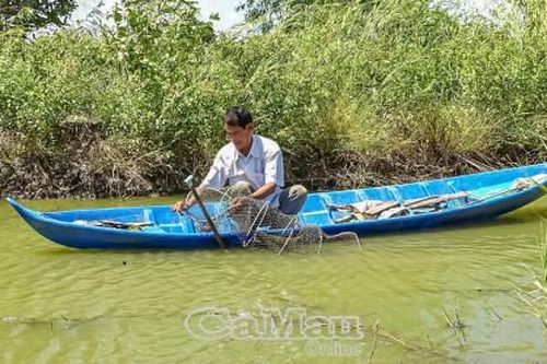 Giải pháp tăng năng suất tôm quảng canh cải tiến