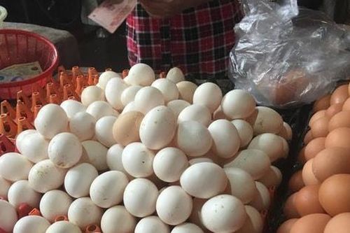 Hà Nội cho phép sử dụng địa danh 'Khai Thái' để đăng ký nhãn hiệu tập thể trứng gà Khai Thái