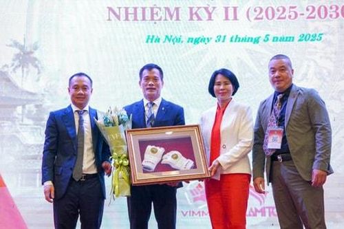Võ thuật tổng hợp Việt Nam nỗ lực nâng tầm vị thế