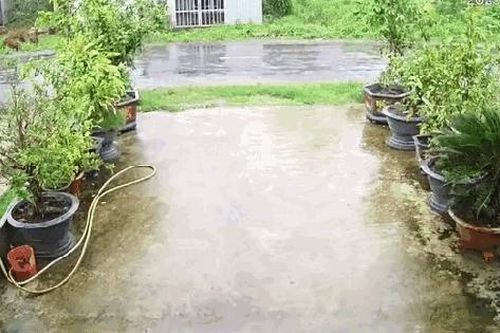 2 người đi xe máy tử vong vì va trúng dây điện chắn ngang đường ở Trà Vinh