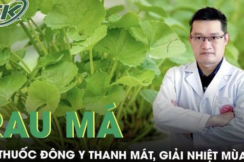 Rau má - Vị thuốc Đông y thanh mát, giúp giải nhiệt mùa hè