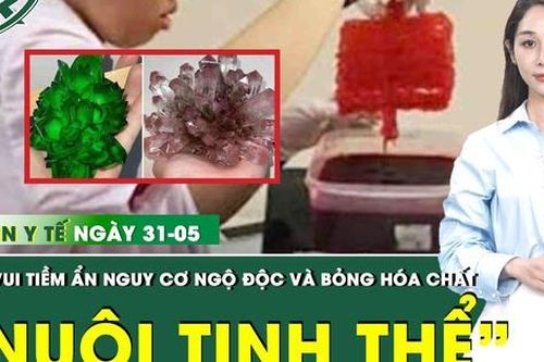 Bản Tin Y Tế 31/5: Hiểm họa khôn lường từ thú vui 'nuôi tinh thể'