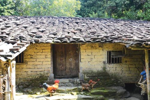 Độc đáo nhà trình tường