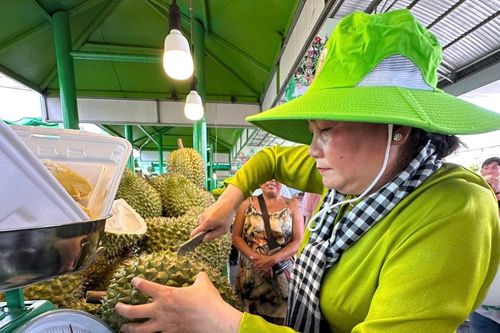 Mua trái cây rẻ tại lễ hội trái cây Nam bộ
