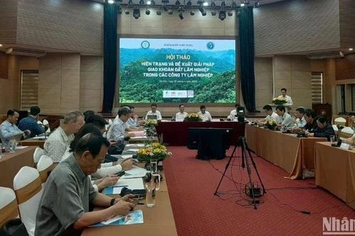 Tháo gỡ vướng mắc trong giao khoán đất lâm nghiệp