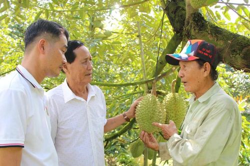Những tỷ phú miệt vườn Hậu Giang