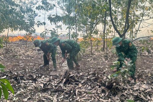 BĐBP thành phố Huế huy động lực lượng phối hợp chữa cháy rừng