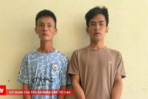 Bắt giữ 2 đối tượng trộm cắp hàng loạt xe máy