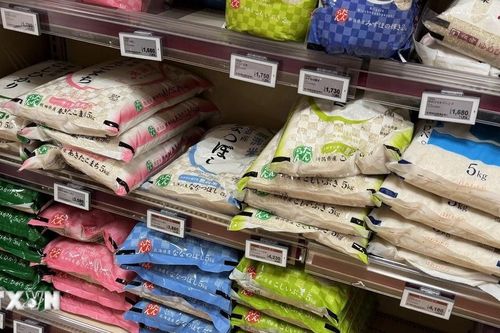 Cảnh báo bẫy gạo siêu rẻ bất thường tại Nhật Bản