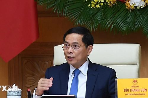 Phó Thủ tướng Bùi Thanh Sơn tiếp chuyên gia, nhà khoa học Tổ chức AVSE Global