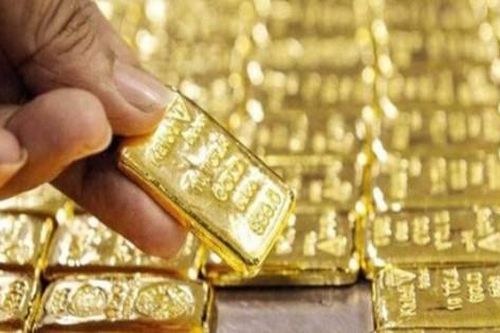 Nóng nhất trong ngày: Người mua vàng miếng lỗ gần 5 triệu đồng; Loài ký sinh bị nông dân 'ruồng rẫy', nay hóa 'mỏ vàng'
