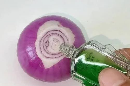 Đuổi muỗi hiệu quả bằng hành tây và dầu gió: Mẹo đơn giản, an toàn cho cả gia đình