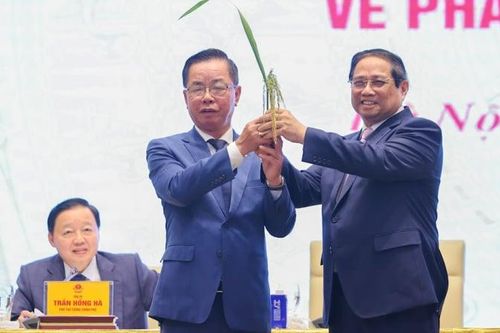 Chủ tịch ThaiBinh Seed chỉ rõ 4 nút thắt kìm hãm nông nghiệp
