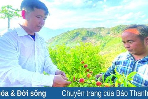 Trả lại bình yên (Bài 3): Tươi sáng