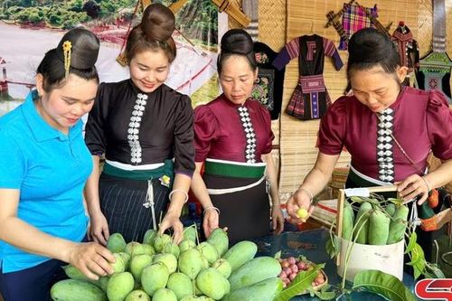 Ngày hội xoài Yên Châu - Kết nối nông sản vươn ra thị trường