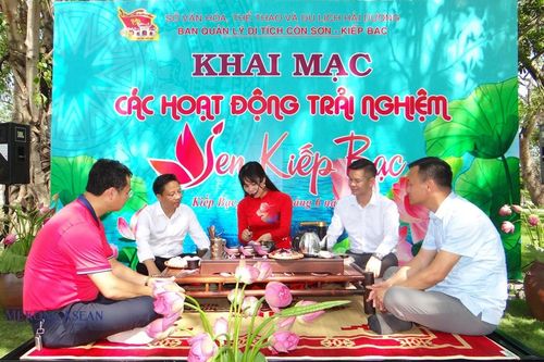 Sen Kiếp Bạc - Sắc màu ấn tượng trong hành trình điểm đến ở Hải Dương