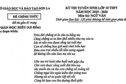 Gợi ý đáp án môn Ngữ văn thi vào lớp 10 tỉnh Sơn La năm 2025