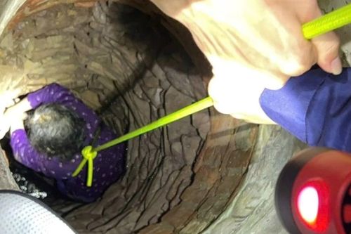 Khoảnh khắc giải cứu cụ bà rơi xuống giếng sâu ở Bắc Giang