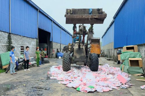 Quảng Ninh tiêu hủy gần 2.000 gấu bông Baby Three chứa chất độc hại