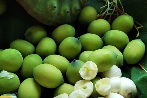 6 món ngon dễ làm từ hạt sen đang chính vụ giúp thanh nhiệt, mát gan, cải thiện mất ngủ ngày hè tốt cho cả nhà