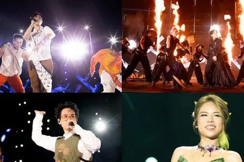 Forestival 2025: Khi những 'mảnh ghép xanh' tạo nên bản giao hưởng cảm xúc