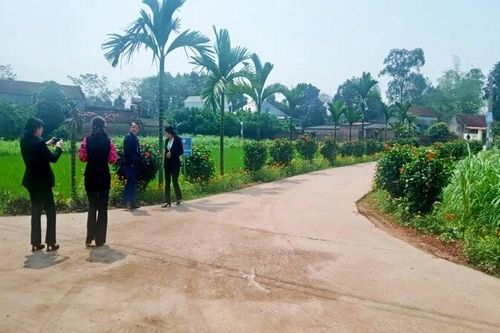Phú Bình vững vàng xây dựng huyện nông thôn mới nâng cao
