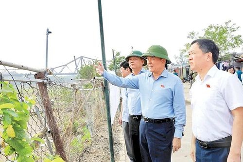Quản lý chặt đất công, đất nông nghiệp và đất ngoài bãi sông