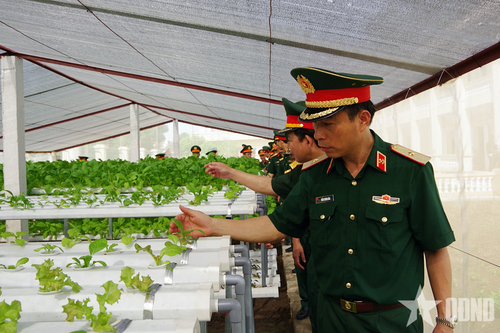 Binh chủng Công binh tổ chức Hội thi 'Đơn vị nuôi quân giỏi, quản lý quân nhu tốt' năm 2025