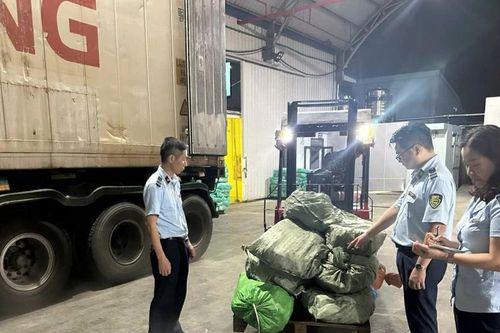 Quảng Ninh phát hiện hơn 12 tấn chân gà đã bốc mùi hôi thối