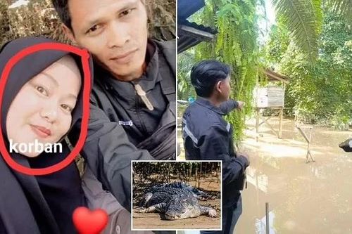 Thai phụ bị cá sấu tấn công tử vong khi đang nấu ăn