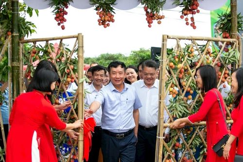 Nâng cao nhận diện thương hiệu vải thiều Thanh Hà - biểu tượng tinh thần lao động sáng tạo của người dân Hải Dương