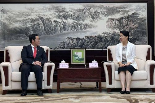 Tổng lãnh sự Bùi Nguyên Long hội kiến Chủ nhiệm Văn phòng Ngoại vụ Trùng Khánh Vương Văn