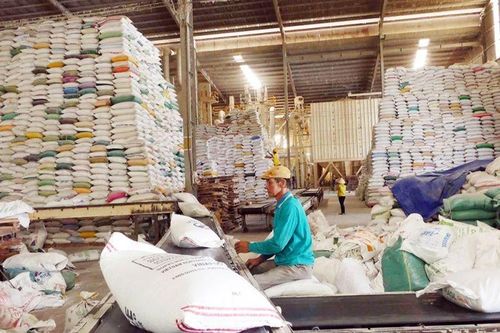 VCCI đề xuất gỡ khó cho doanh nghiệp kinh doanh xuất khẩu gạo